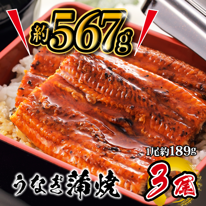 国産 うなぎ蒲焼 3尾入 1尾 約189g