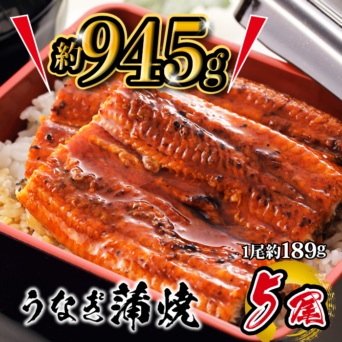 国産 うなぎ蒲焼 5尾入 1尾 約189g