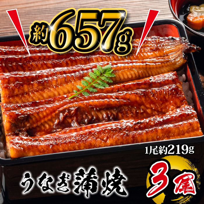 国産 うなぎ蒲焼 3尾入 1尾 約219g