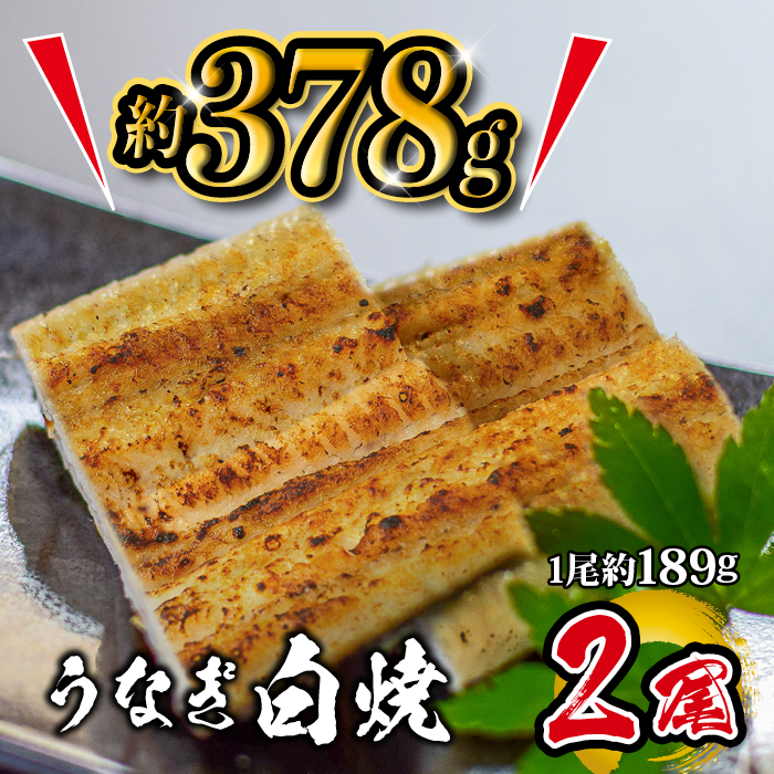 国産 うなぎ白焼 2尾入 1尾 約189g