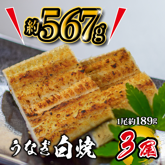 国産 うなぎ白焼 3尾入 1尾 約189g