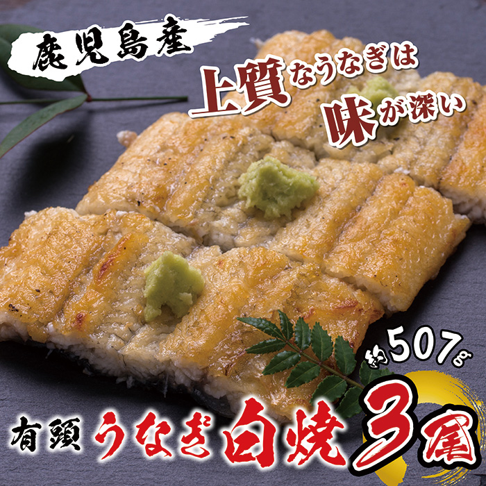 国産 うなぎ白焼 3尾入 1尾 約169g