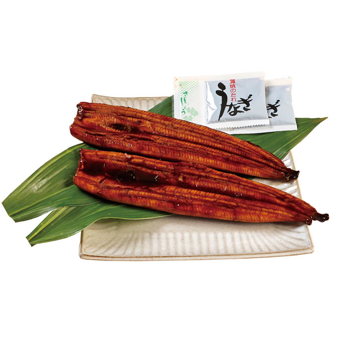 プレミアム 国産 うなぎ蒲焼  2尾入 １尾約169g