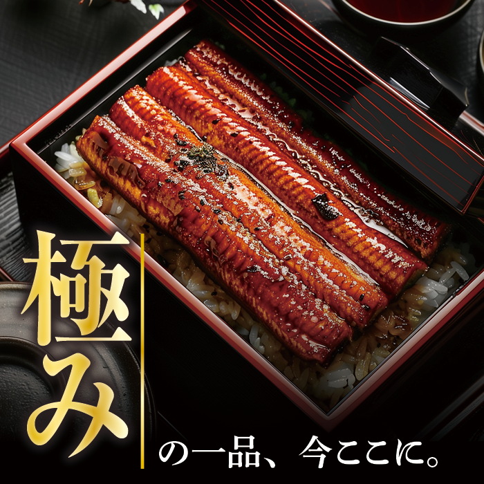 プレミアム 国産 うなぎ蒲焼 2尾入 １尾約149g