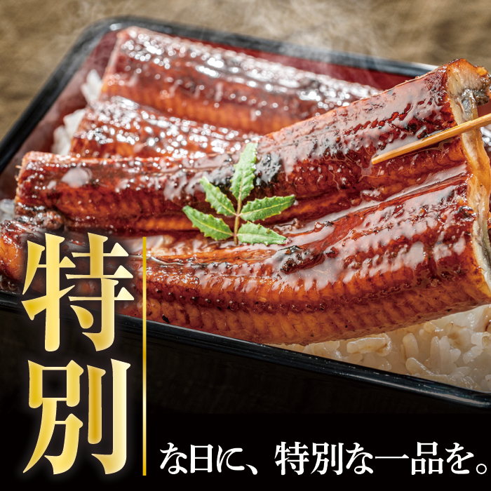 プレミアム 国産 うなぎ蒲焼 2尾入 １尾約169g