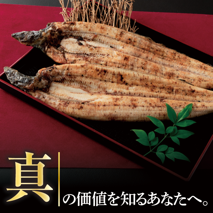 プレミアム 国産 うなぎ白焼 2尾入 1尾約149g