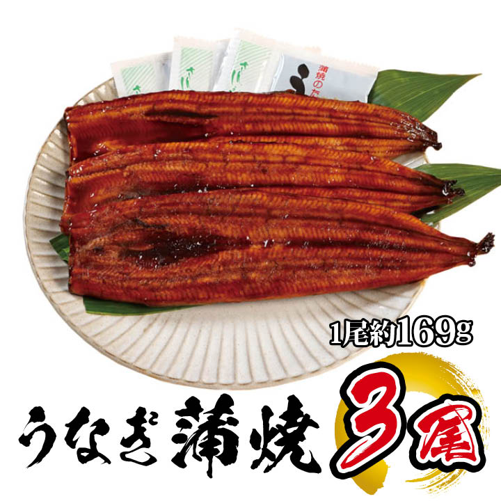 国産 うなぎ蒲焼 3尾入 1尾 約169g