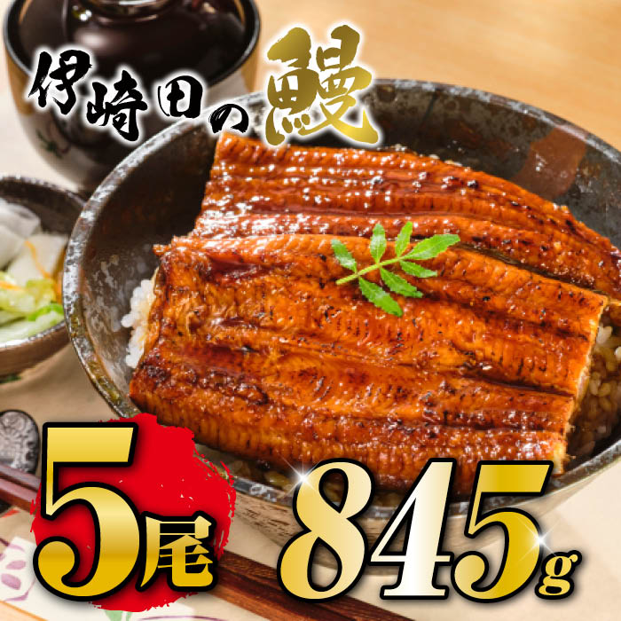 国産 うなぎ蒲焼 5尾入 1尾 約169g