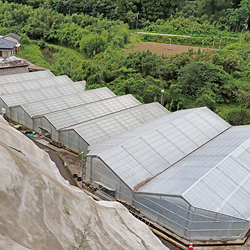 うなぎの養殖と水の関係について