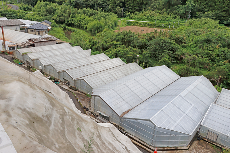 うなぎの養殖場