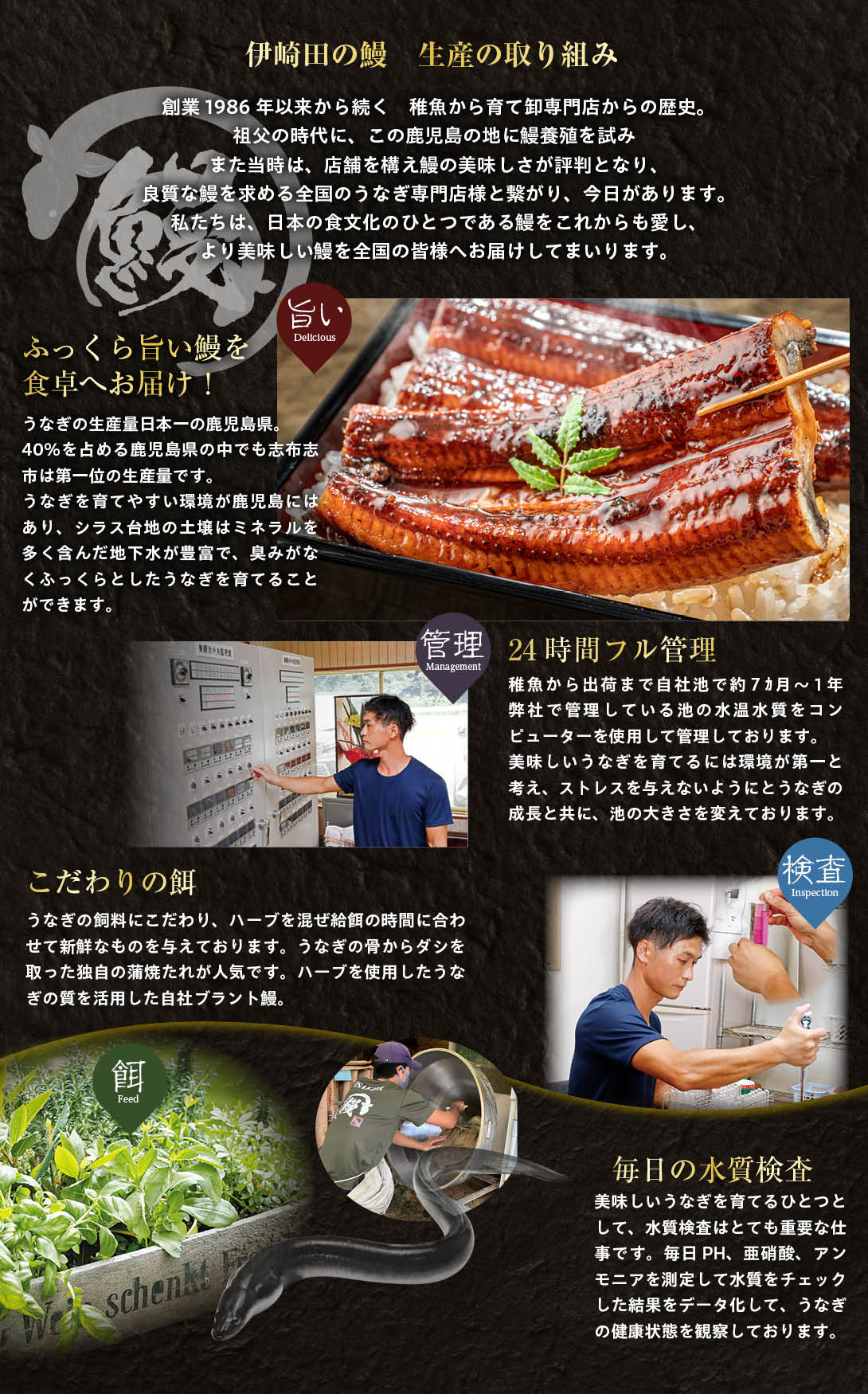 伊崎田の鰻生産の取り組み