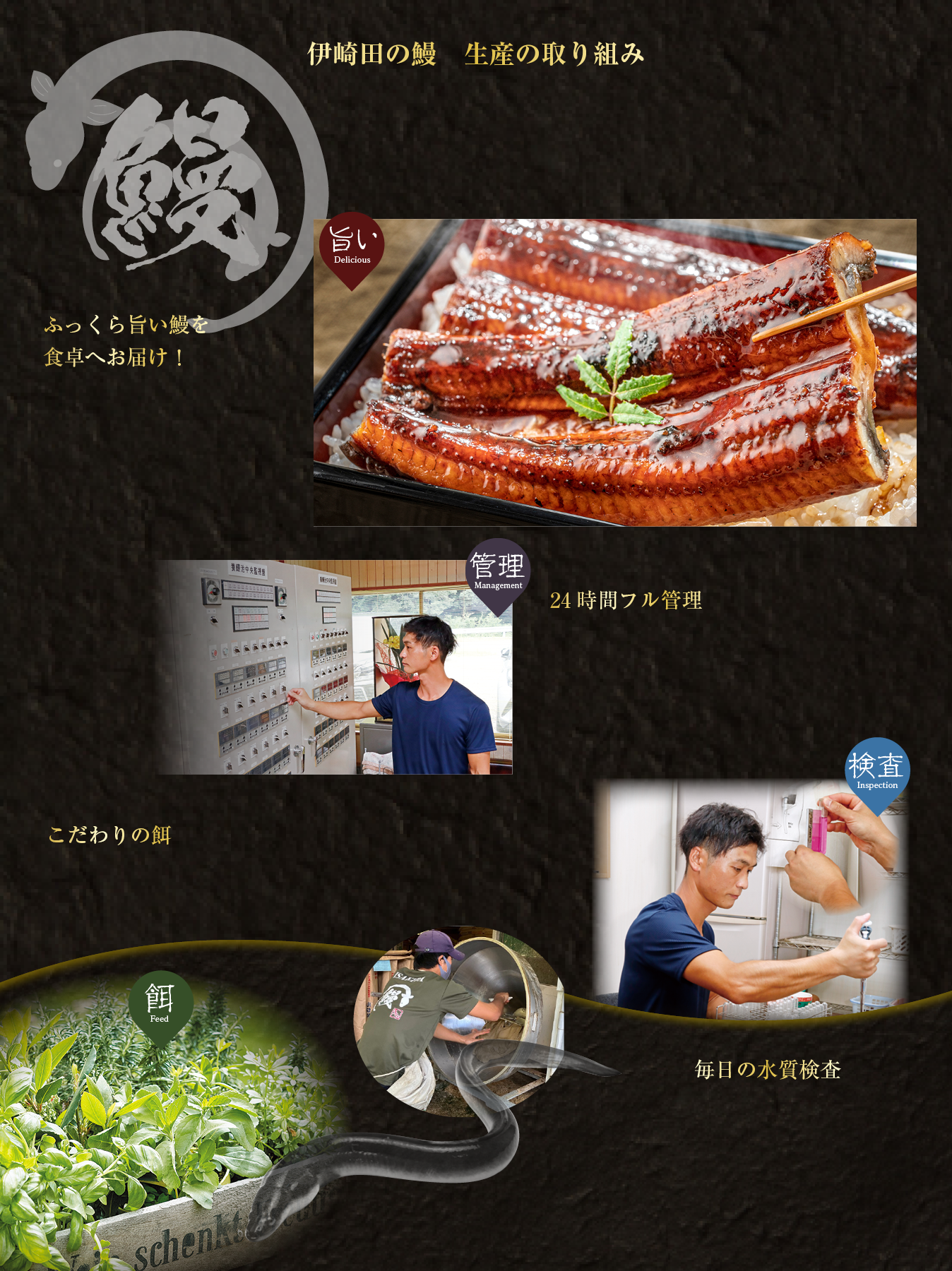 伊崎田の鰻生産の取り組み