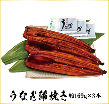 うなぎ蒲焼約169g×3本